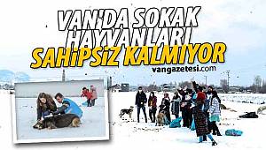 VAN'DA SOKAK HAYVANLARI SAHİPSİZ KALMIYOR - Van haber