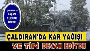 Van'ın Çaldıran İlçesinde Hayat Durmak Üzere
