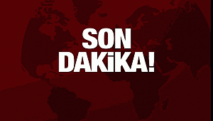 ÖZALP'A SIKI DENETİM