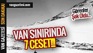 Son Dakika: VAN SINIRINDA 7 CESET !!!