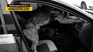 Van’da Eroin operasyonu – Aracın göğsünden çıkanlar şok geçirtti Vanhaber