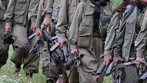 Van'da Operasyon : İki Terörist Yakalandı