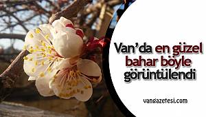 Van'da en güzel bahar böyle görüntülendi