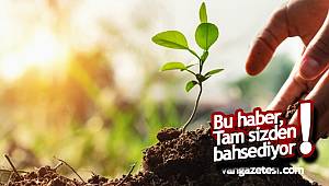 Van'da ücretsiz Çiftçilere 150 bin sebze fidesi dağıtılacak