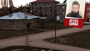 VAN’IN SOKAKLARINDA KUŞLAR BiLE KURALLARA UYUYOR