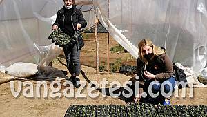 100 bin yerli fideyi ücretsiz dağıttı