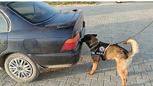 65 plakalı aracın içinden çıkanlar şok etti