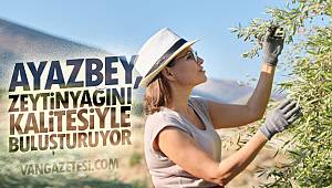 Ayazbey, zeytinyağını kaliteyle buluşturuyor