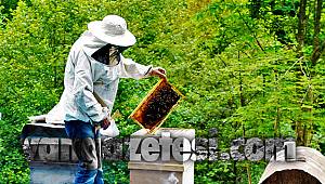 BAL ÜRETİMİNDE TÜRKİYE İKİNCİ SIRADA