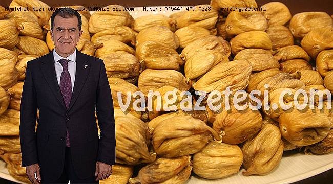 Kuru incir ihracatı 57 bin tonu aştı