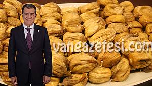 Kuru incir ihracatı 57 bin tonu aştı