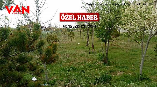 LÜTFİ ŞAHİN'den anlamlı örnek – O yerler şimdi yemyeşil