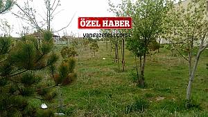 LÜTFİ ŞAHİN’den anlamlı örnek – O yerler şimdi yemyeşil