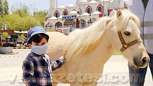 Pony ve Midilli Atlara binen çocuklar doyasıya eğlendiler