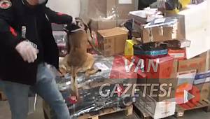 Van'da bulunan kargo şirketinde uyuşturucu çıktı – 2 kişi tutuklandı - Videolu