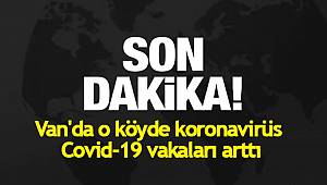 Van'da o köyde koronavirüs Covid-19 vakaları arttı