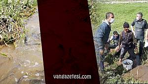 Van'da Van Balığı için kova seferberliği