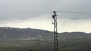 Vanın bu ilçesinde de koronavirüs vakası – Olay ile ilgili flaş açıklama!