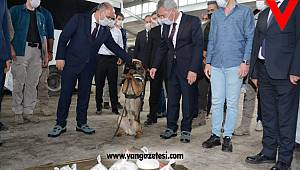 6 Kilo 25 Gram Metamfetamin ele geçirildi - 2 Tutuklama