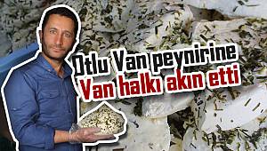 Otlu Van peynirine  Van halkı akın etti - Evde tutmalık peynir