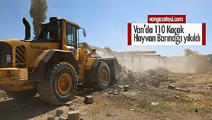 Van'da 110 Kaçak Hayvan Barınağı yıkıldı