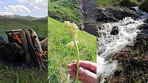 Van'da Erek dağı ve yaylalar böyle görüntülendi - Van'ın görülmeye değer yerleri