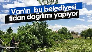 Van'ın  bu belediyesi  fidan dağıtımı yapıyor 
