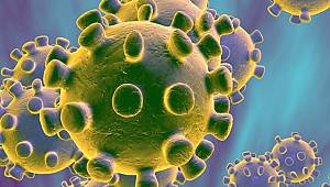 Bilim İnsanları Uyarıyor Virüs Havadan'da bulaşır