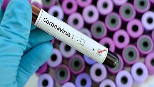 İkinci Dalga için Korkutan Bilanço 120 Bin Kişi Ölebilir