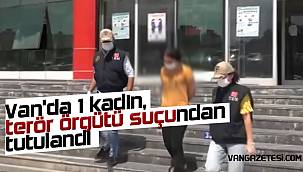 Van'da 1 kadın, terör örgütü suçundan tutulandı - İşte o detay