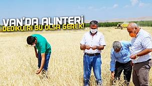 Van'da alın teri dedikleri bu olsa gerek