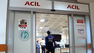 Van'da bu gün itibariyle korona hasta sayısı