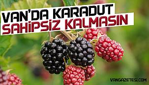 Van haber - Şifa kaynağı Van'da görüldü