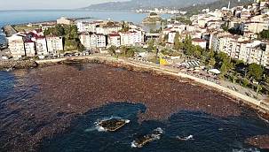 Denizin yüzeyi ağaçlar kaplandı - Giresun'da Sel felaketi 