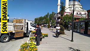 Edremit çiçeklerle süsleniyor