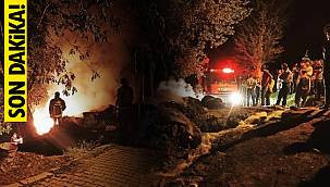 Van'da hayvanlar telef olmaktan zor kurtuldu - Ot yangını