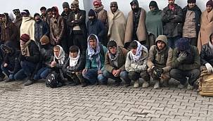 VANDA MÜLTECİLER BÜYÜK TEHDİT OLUŞTURUYOR