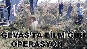 Bataklığa Saplanan İnek Film Gibi Operasyonla Kurtarıldı