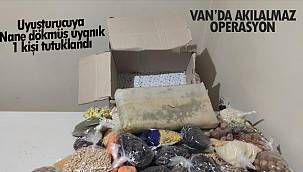 Van'da akıl almaz operasyon! Uyuşturucuya Nane dökmüş uyanık - 1 kişi tutuklandı