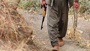 Van'da PKK'yla İlgili Gelişme