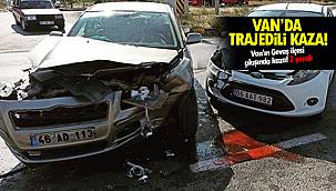 Van'ın Gevaş ilçesi çıkışında kaza! 2 yaralı