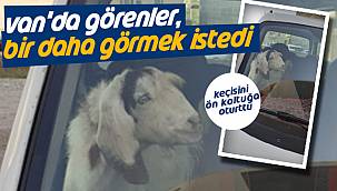 Vanlı bir vatandaş, aracın ön koltuğuna bıraktığı keçisini geziye çıkardı