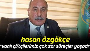 Hasan Özgökçe,