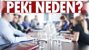 Van'da Aralık ayına kadar bunlar yapmak yasaklandı - Peki Neden?