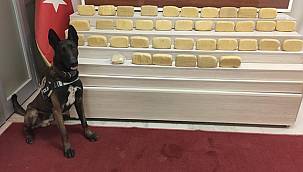 VAN'DA BİR OPERASYON DAHA!