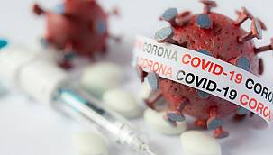COVID-19 Bir Yıla Yakındır Hayatımızda