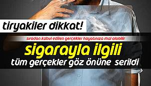 Sigarayla İlgili Tüm Gerçekler Göz Önüne Serildi