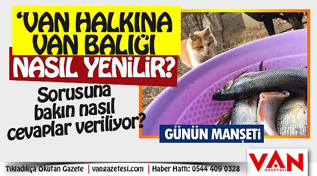 'Van halkına Van balığı nasıl yenilir?' Sorusuna bakın nasıl cevaplar veriliyor