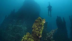 Dünyanın en büyük mikrobiyalitlerini Van Gölünde bulundu