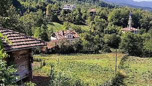 Kurallara uydular, koronaya yakalanmadılar
